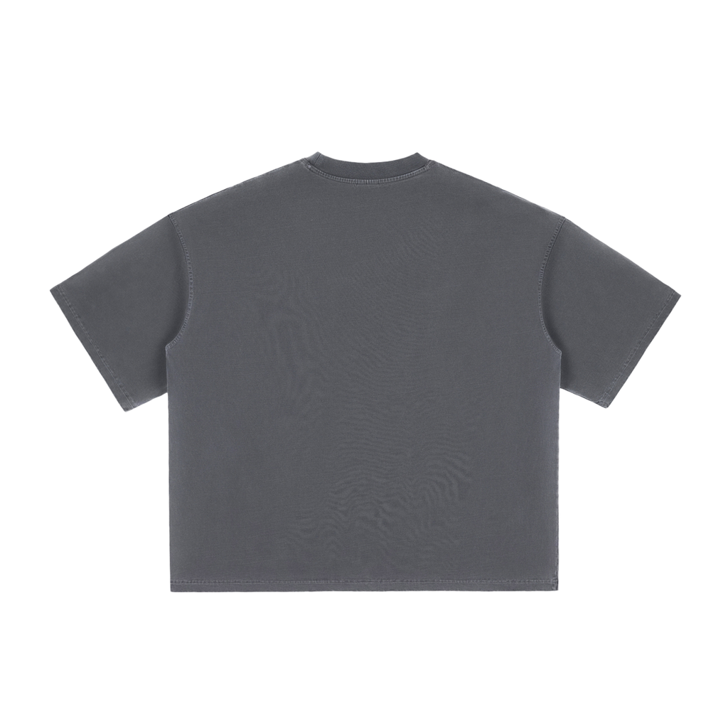 Two Tone GALAKTIKA Vintage Washed Boxy T