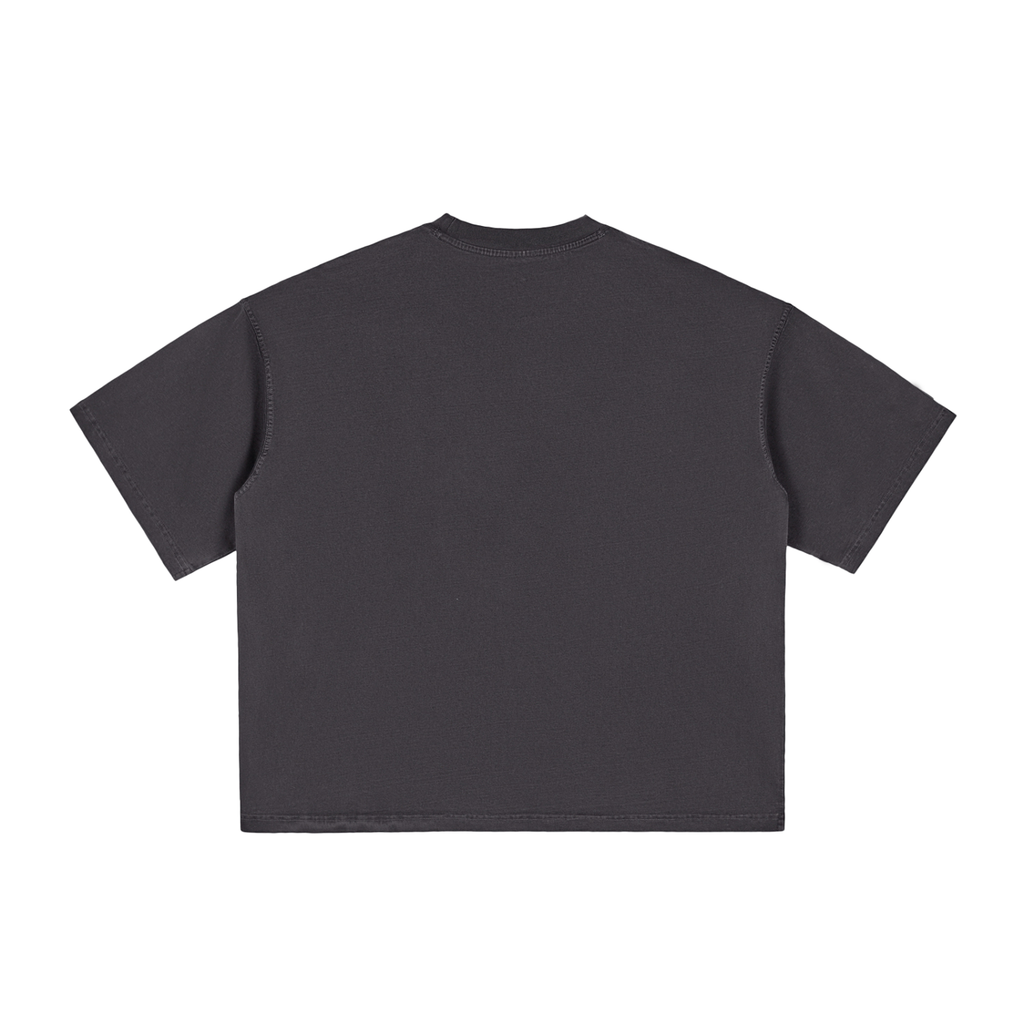 Two Tone GALAKTIKA Vintage Washed Boxy T