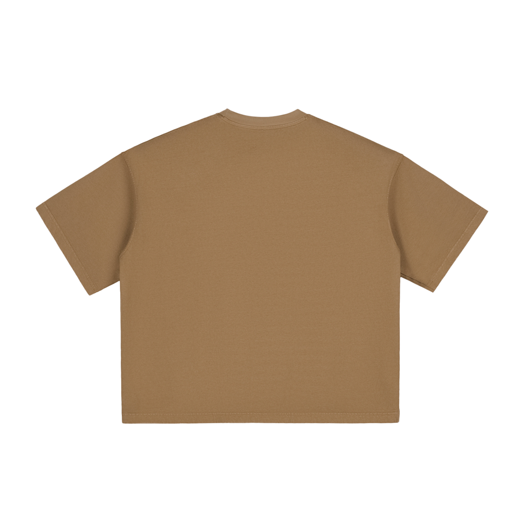 Alternate Two Tone GALAKTIKA Vintage Washed Boxy T