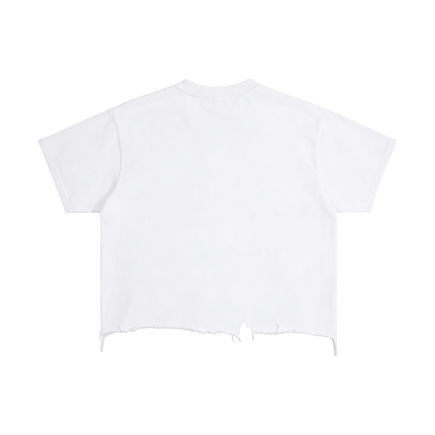 GALAKTIKA Vintage  Boxy Distressed Hem V3